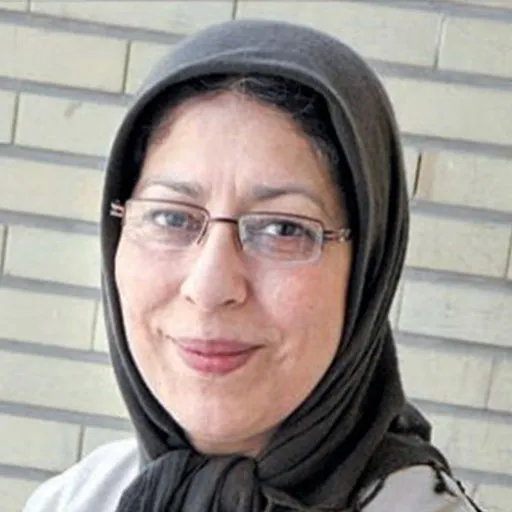 هنگامه مفید